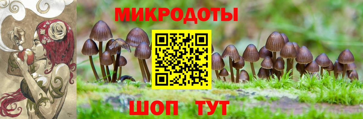 Псилоцибиновые грибы мицелий  Вход с VPN  Псилоцибиновые грибы Magic Shrooms  Вятские Поляны 