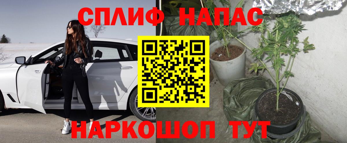 Шишки марихуана SATIVA & INDICA Вятские Поляны